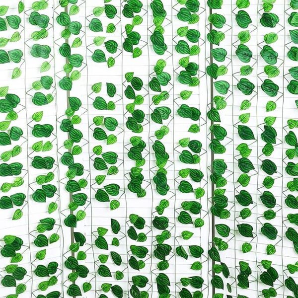 Vine-Watermelon-12